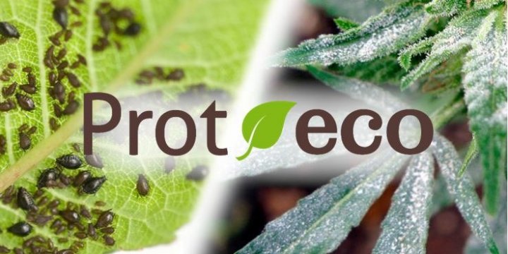 PROT-ECO | PRODUCTS, DOSAGE TABLES AND HOW TO USE