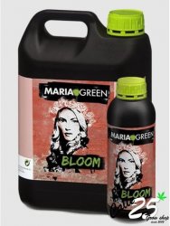 MARIA GREEN BLOOM
